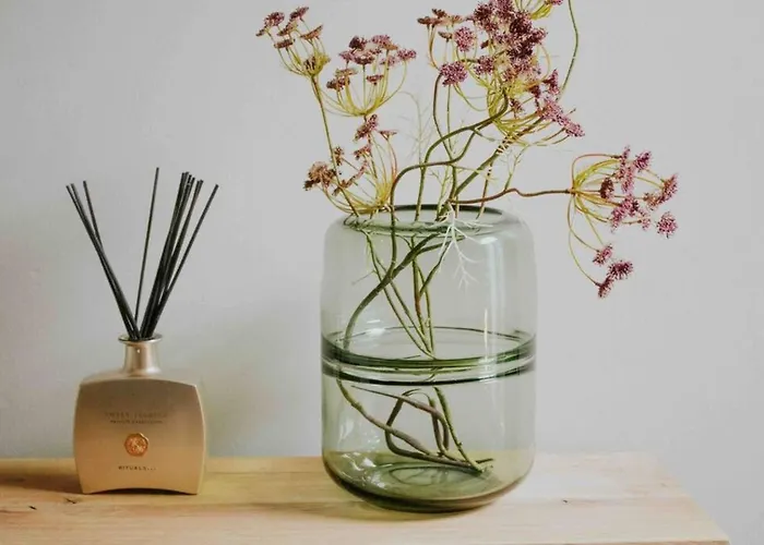 4p Boetiek Met Tuin Bij Fontys En Klooster