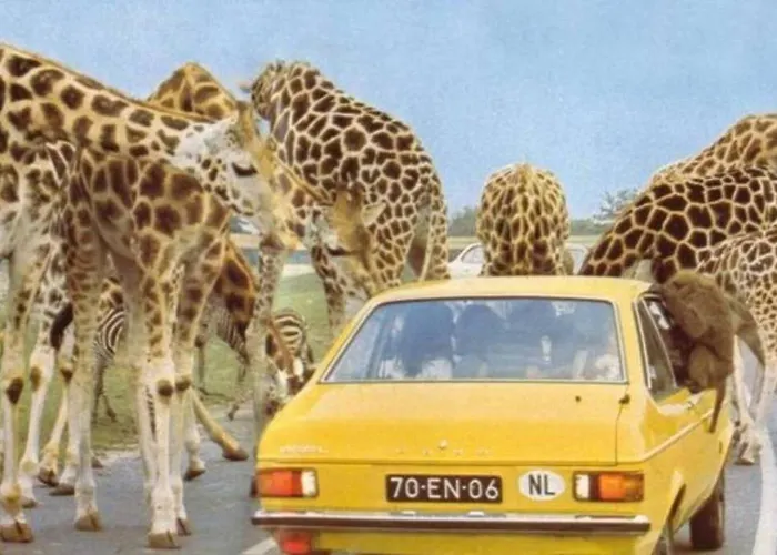 4p Boetiek Met Tuin Bij Fontys En Klooster Τίλμπουργκ